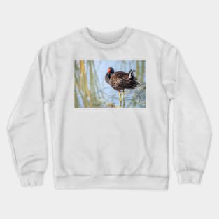 Common Gallinule Looking Fluffy Crewneck Sweatshirt